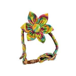 Lionet Paws XS Dog Collar